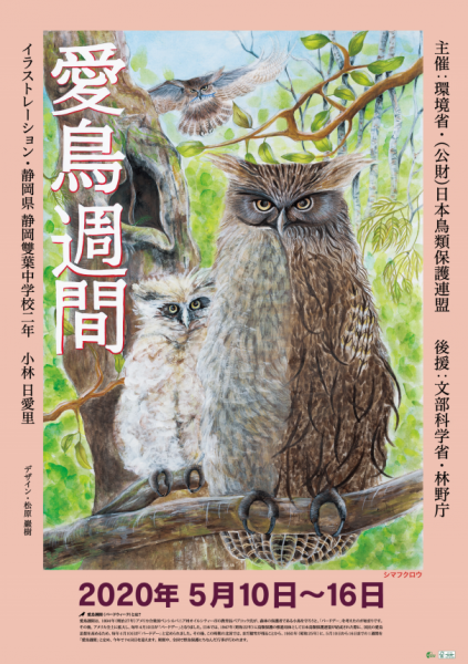 バードウィーク（愛鳥週間）に鳥の鳴き声を聞いてみよう！