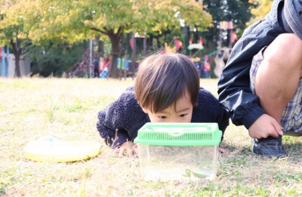 外来種って何？外来種が及ぼす影響とは？