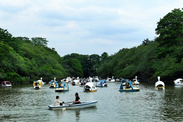 池の水を全部抜く！「かいぼり」とは？